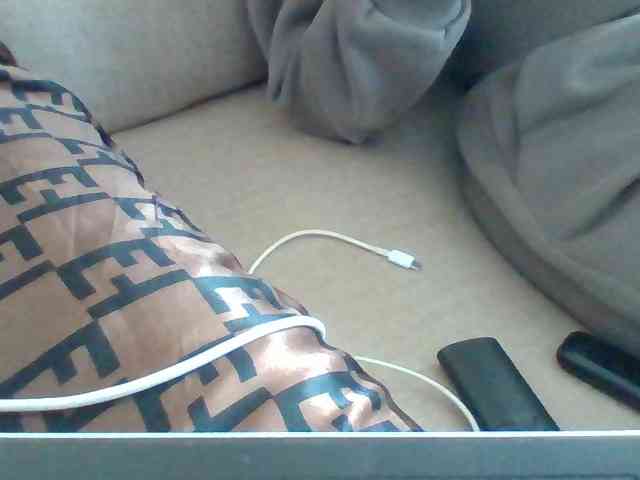 Dollie webcam