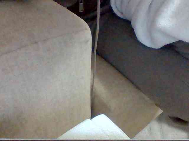 Dollie webcam