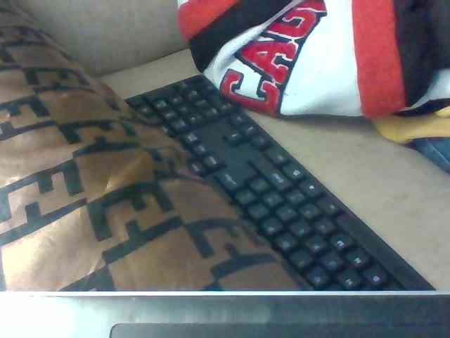 Dollie webcam