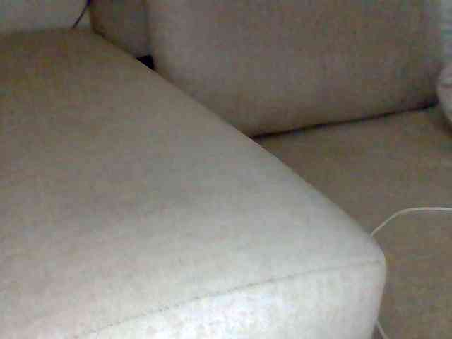 Dollie webcam