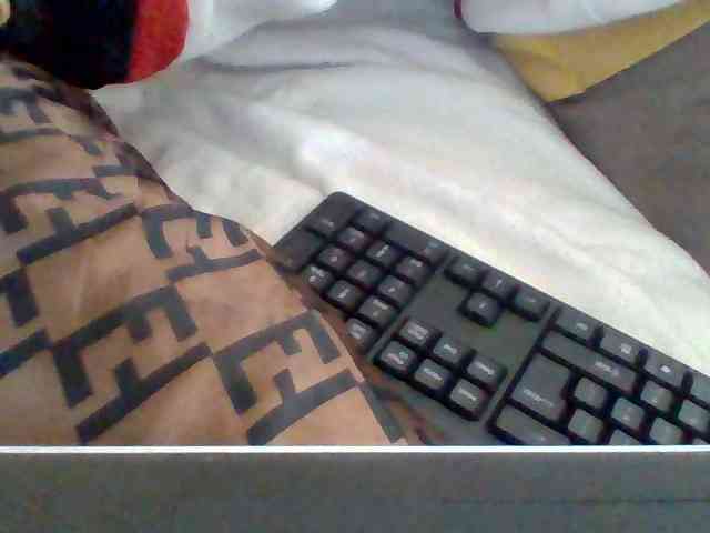 Dollie webcam