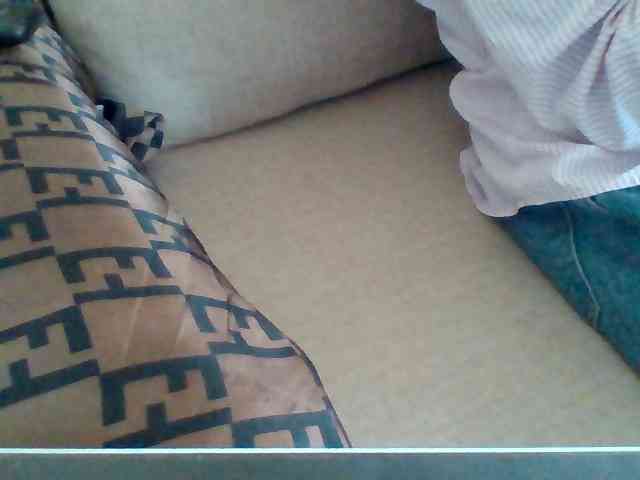 Dollie webcam