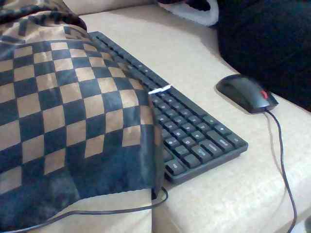 Dollie webcam