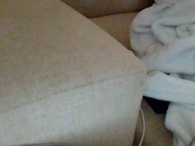 Dollie webcam