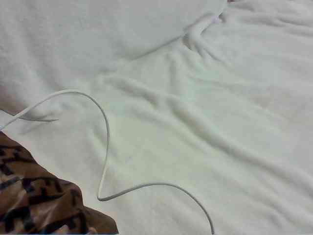 Dollie webcam