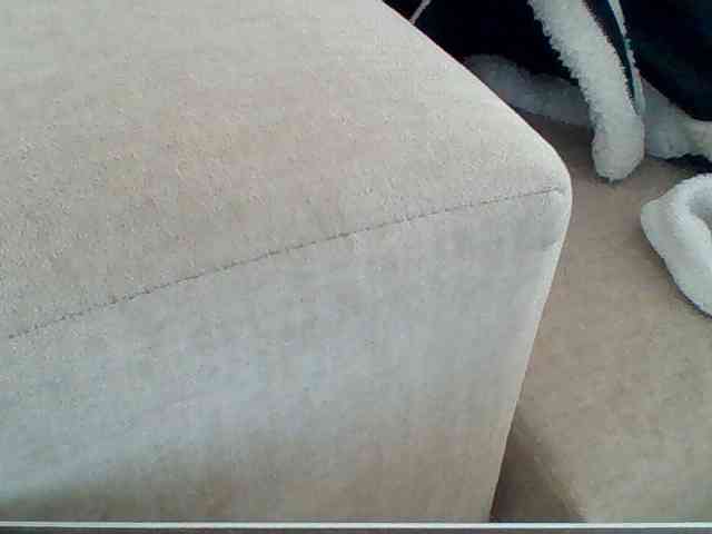 Dollie webcam