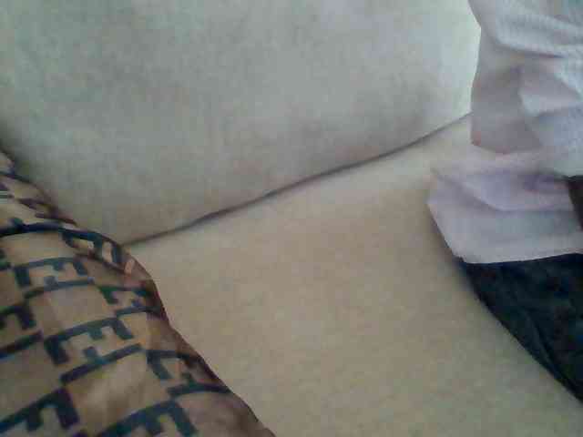 Dollie webcam