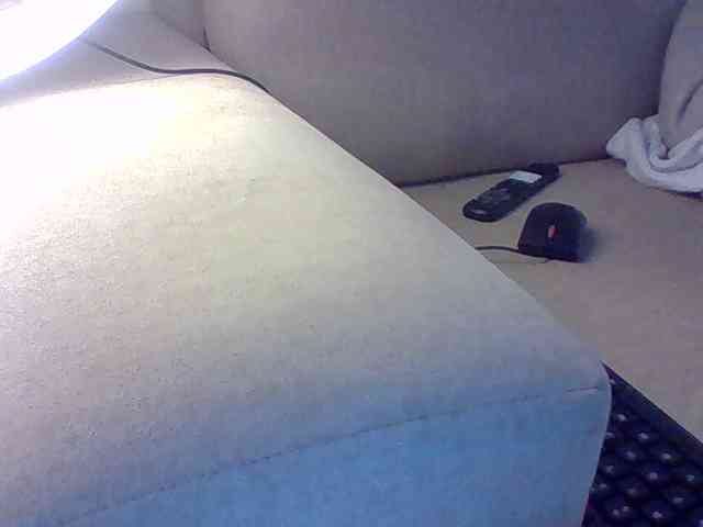 Dollie webcam