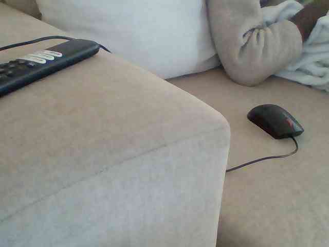 Dollie webcam