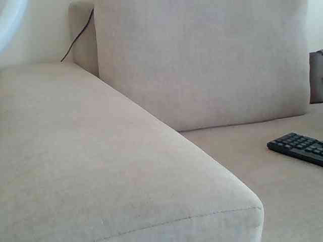 Dollie webcam