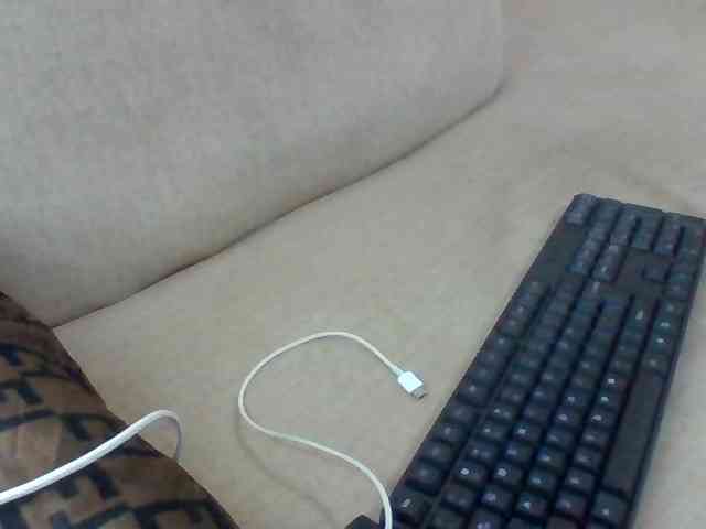 Dollie webcam