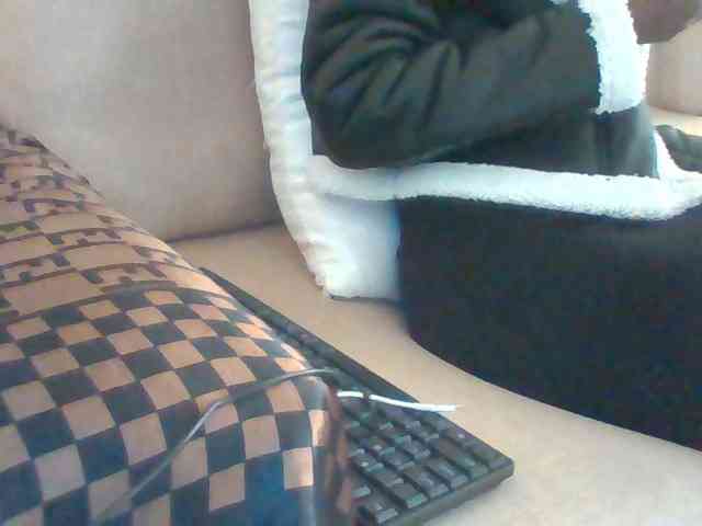 Dollie webcam