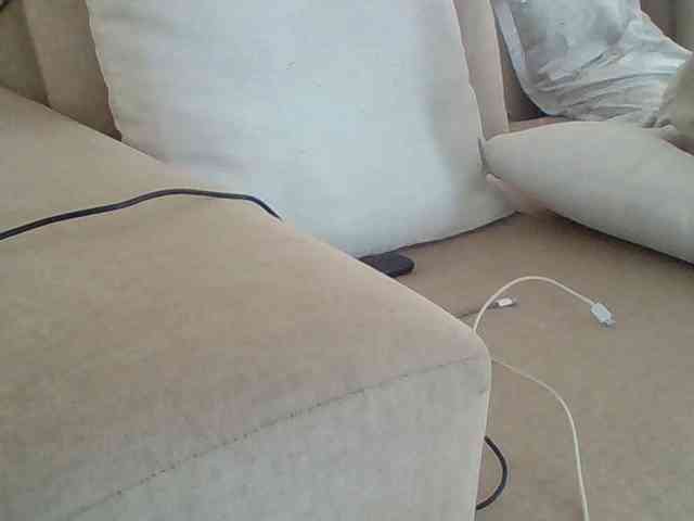 Dollie webcam
