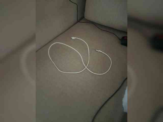 Dollie webcam