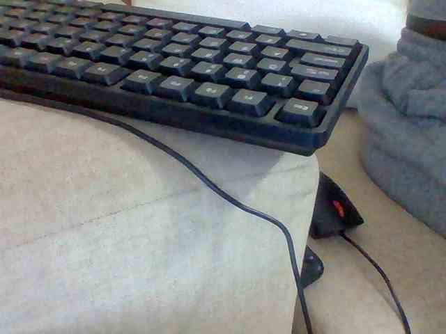 Dollie