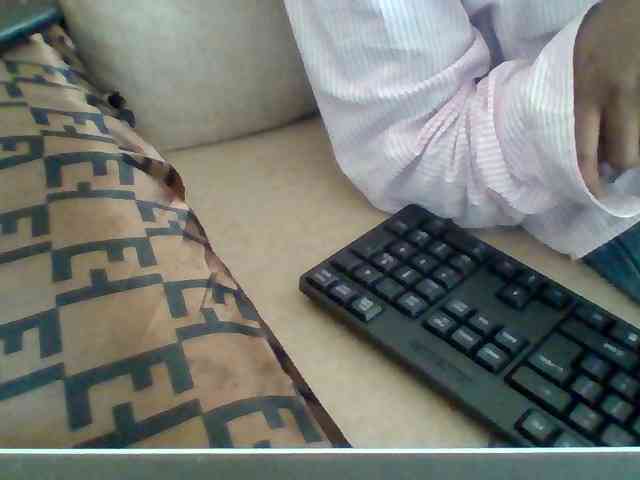 Dollie webcam