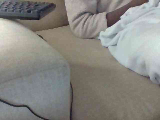 Dollie webcam