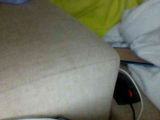 Dollie webcam