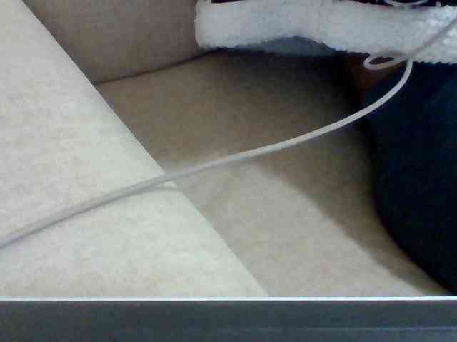 Dollie webcam