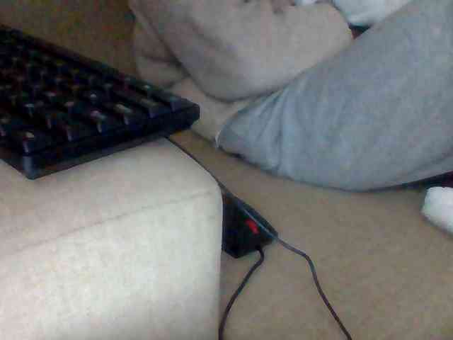 Dollie webcam
