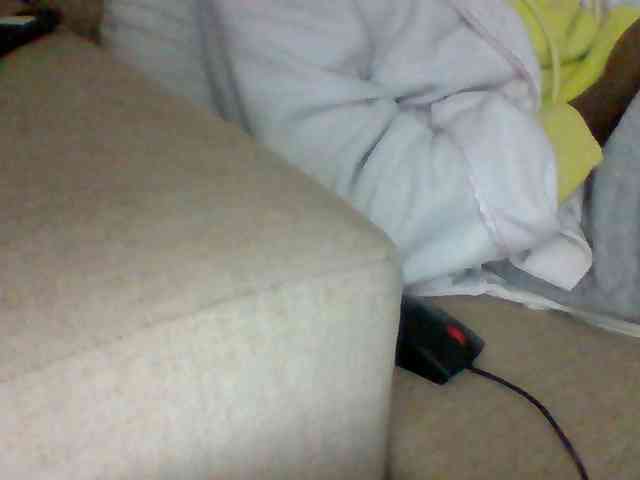 Dollie webcam