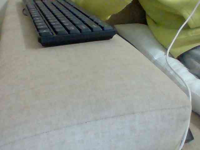 Dollie webcam