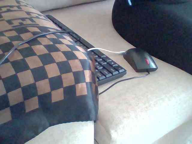 Dollie webcam