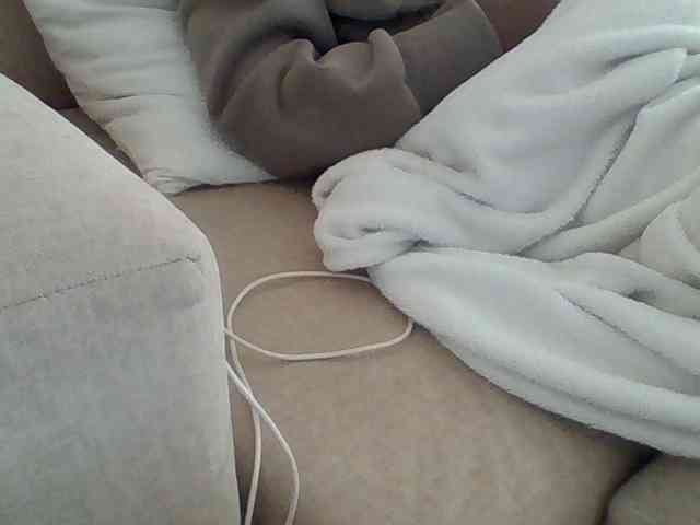 Dollie webcam