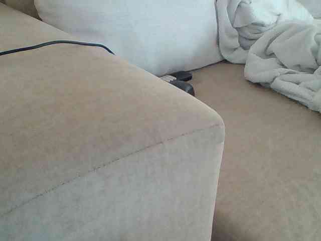 Dollie webcam