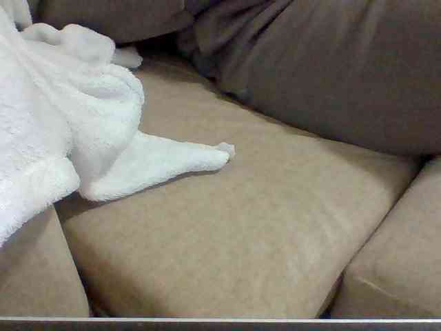 Dollie webcam