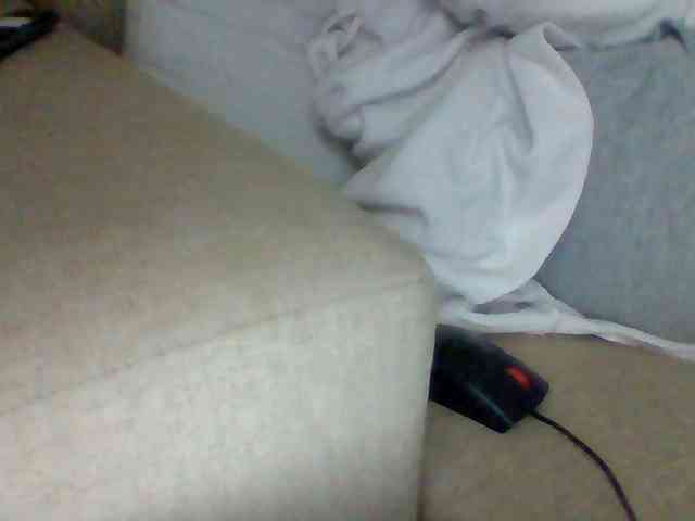 Dollie webcam