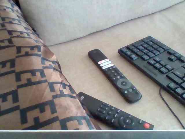Dollie webcam