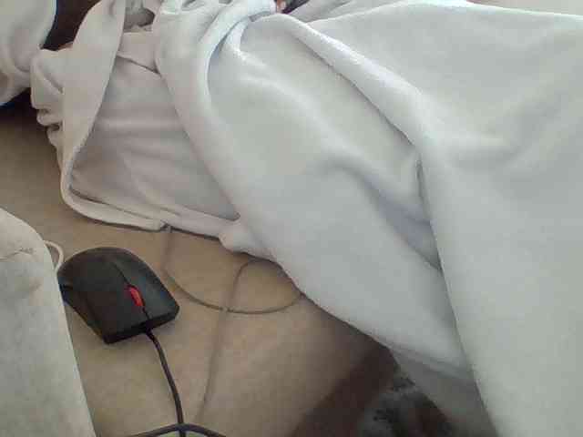 Dollie webcam