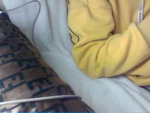 Dollie webcam