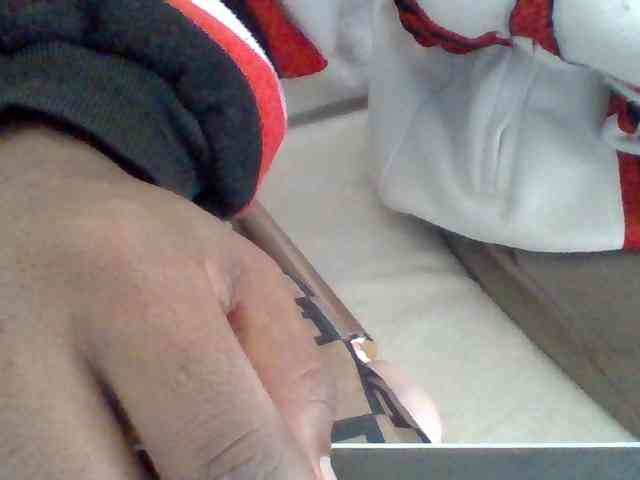 Dollie webcam