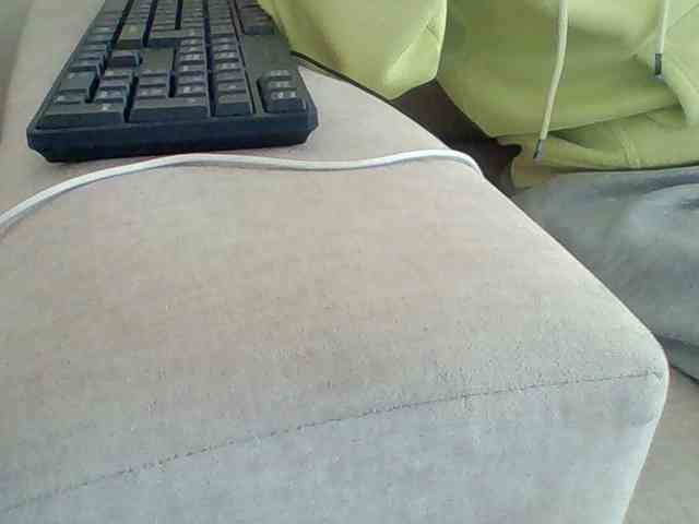 Dollie webcam