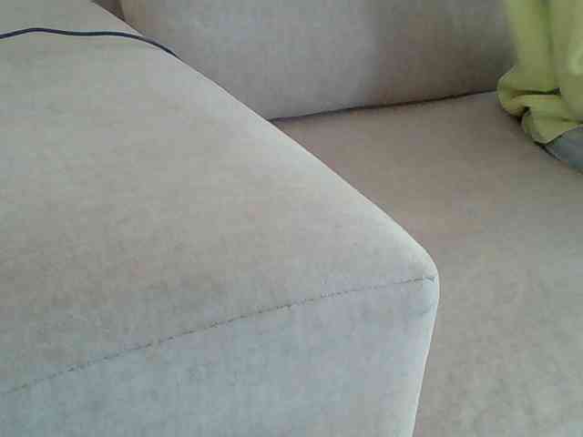 Dollie webcam