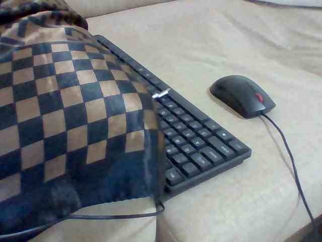 Dollie webcam