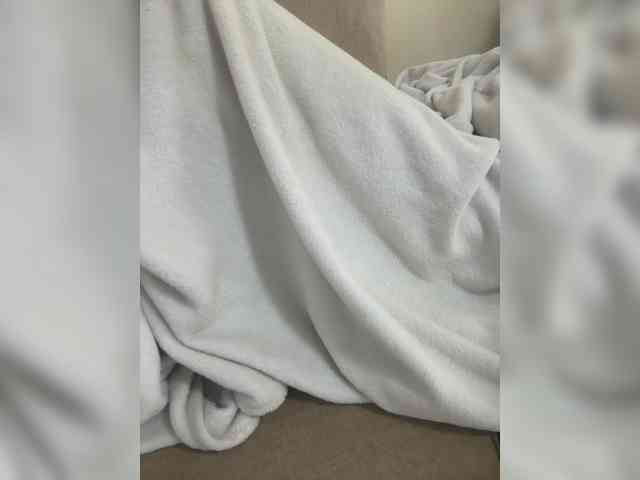Dollie webcam