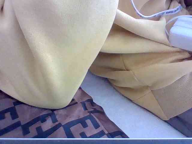 Dollie webcam