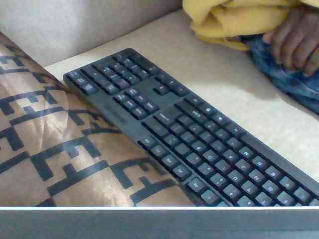 Dollie webcam