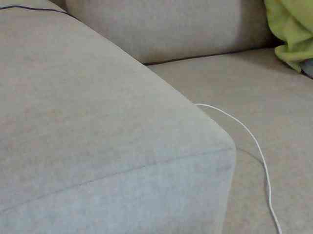 Dollie webcam