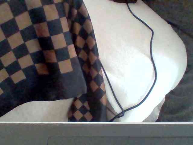 Dollie webcam