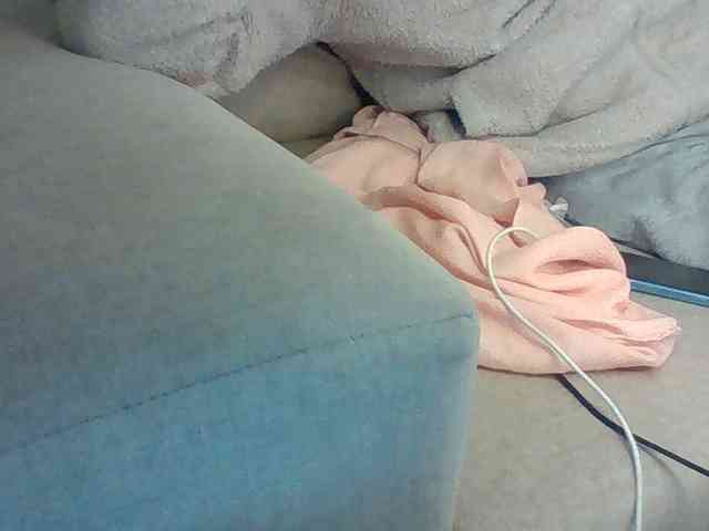 Dollie webcam