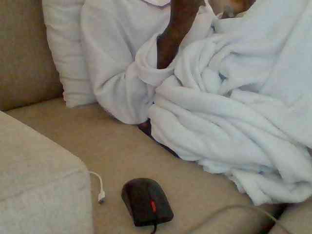 Dollie webcam