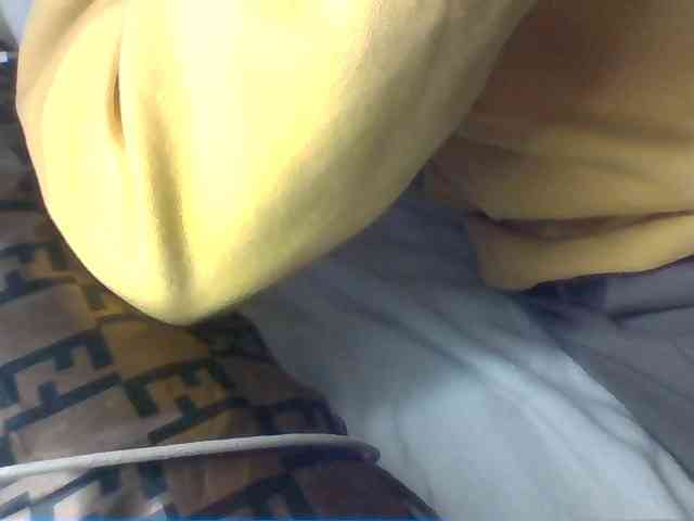 Dollie webcam