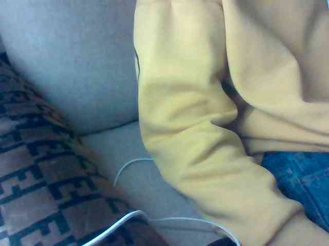 Dollie webcam