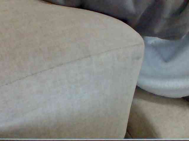 Dollie webcam