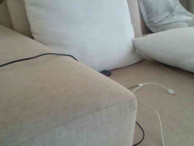 Dollie webcam