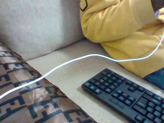 Dollie webcam